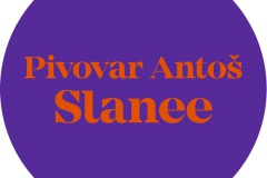 slanee_logo