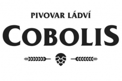 cobolis_logo
