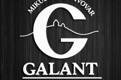 galant_logo