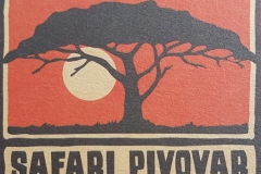 safari_logo