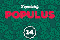 topolna_Populus