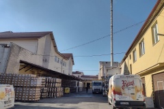 rebel2022_Hynek-Rosenbaum-02