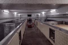 rebel2022_Hynek-Rosenbaum-06