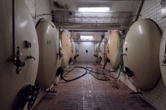 rebel2022_Hynek-Rosenbaum-08