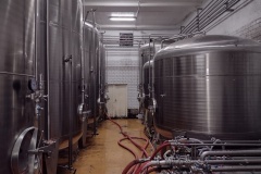 rebel2022_Hynek-Rosenbaum-10