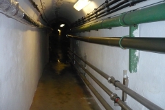 Třeboň Schwarzenberský 044