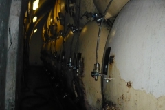 Třeboň Schwarzenberský 046