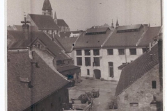 JH pansky 03