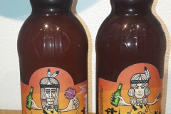 kasperskohorsky_PETindian