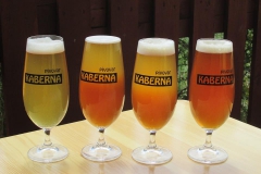 kaberna_sklenice