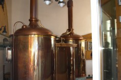 Rychnov-nad-Kněžnou-2010-14