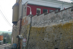 gal75_obr1430822163_78