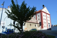 domazlice