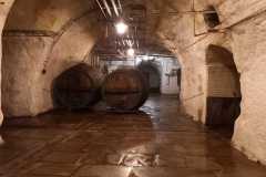 prazdroj_Adam-William-04