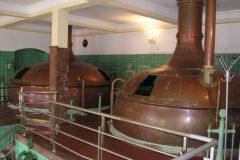 Uherský-Brod-autor-Vladislav-Kopřiva-srpen-2008-04