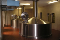 Uherský-Brod-autor-Vladislav-Kopřiva-srpen-2008-052