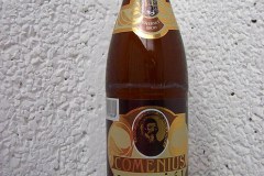 l_comenius