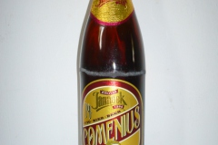 l_comenius_2009