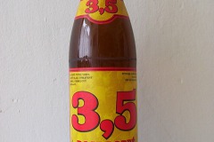 l_janacek35
