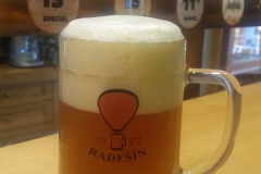 radesin_florian