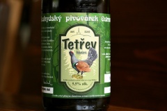 ostravice_Tetrev