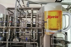 horac_Michal-Granat-03