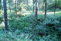 Libstejn-Hradni-01