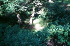 Libstejn-Hradni-Ludek-Gasseldorfer-leto-2011-02