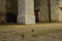 Puvodni podlahy ležáckých sklepů