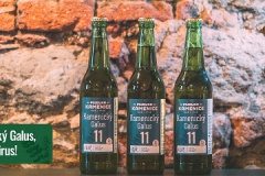 kamenice-Galus11