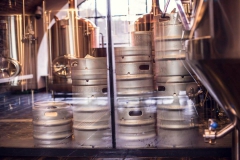 kamenicenadlipou_budova