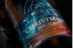 zeliv_ChristmasNight