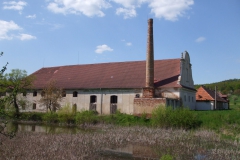 Švabín autor Jiří Pertlík, jaro 2008 02