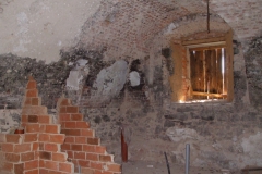 Švabín autor Jiří Pertlík, jaro 2008 13