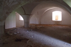 Švabín autor Jiří Pertlík, jaro 2008 15