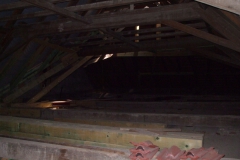 Švabín autor Jiří Pertlík, jaro 2008 21