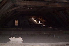 Švabín autor Jiří Pertlík, jaro 2008 22