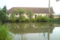 Švabín autor Luděk Gasseldorfer, léto 2011 01
