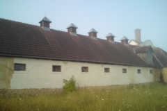 Švabín autor Luděk Gasseldorfer, léto 2011 06