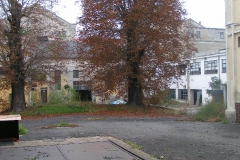 Litoměřice Labskozámecký Martin Krupička, říjen 2008 09