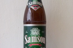 l_samson10