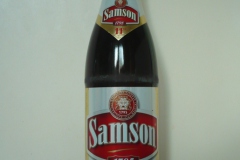 l_samson11_2010