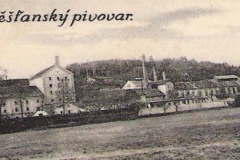 Dobřany Měšťanský  02