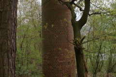 Dobřany Měšťanský autor Filip Vrána, jaro 2011 03