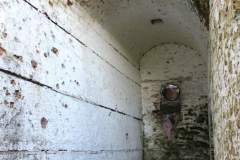 kraliky-mest-Filip-Vrana-2014-01-