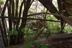 Vysoké-Mýto-autor-Filip-Vrána-květen-2010-05