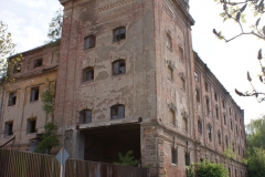 Vysoké-Mýto-autor-Filip-Vrána-květen-2010-09