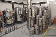 vosnabalik_Eduard-Serba-02