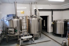 vosnabalik_Hynek-Rosenbaum-02