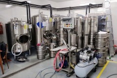 vosnabalik_Hynek-Rosenbaum-03